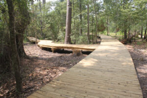 A wooden path in the middle of a forest.