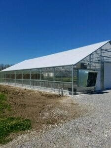 A large greenhouse with a clear roof and a gravel driveway.